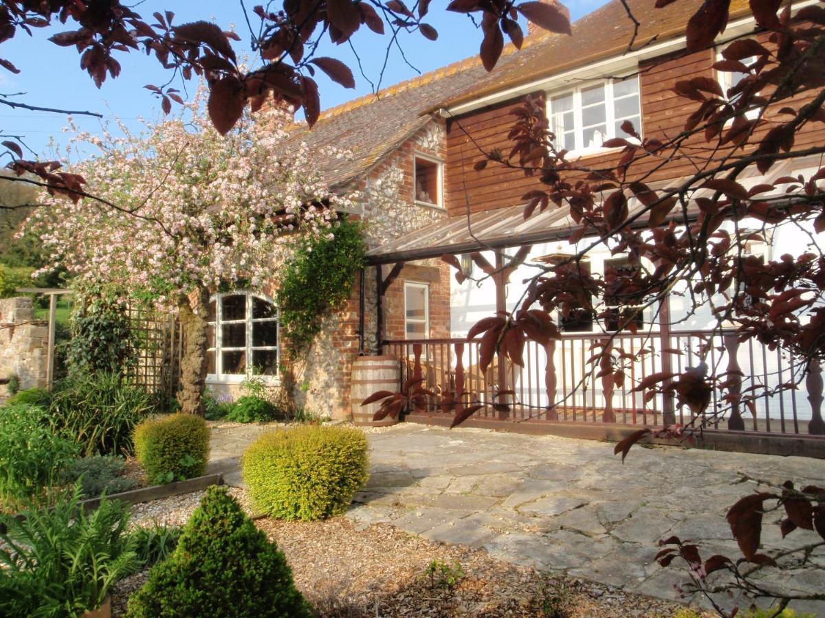 Gorse Farm House B&B Sturminster Newton Exterior photo